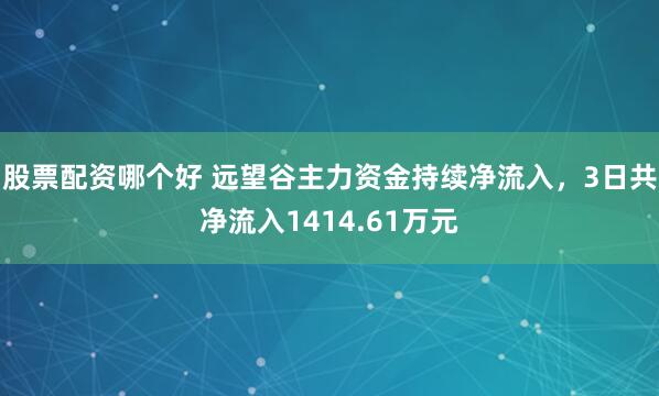 股票配资哪个好 远望谷主力资金持续净流入，3日共净流入1414.61万元