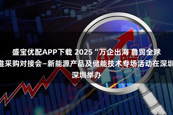 盛宝优配APP下载 2025“万企出海 鲁贸全球”精准采购对接会—新能源产品及储能技术专场活动在深圳举办