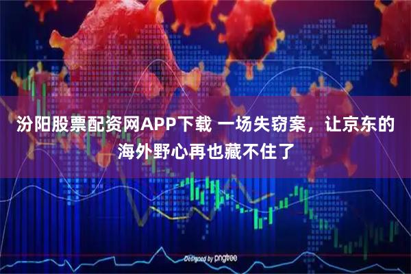 汾阳股票配资网APP下载 一场失窃案,让京东的海外野心再也藏不住了