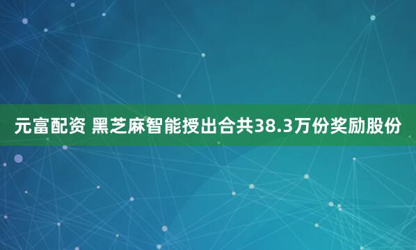 元富配资 黑芝麻智能授出合共38.3万份奖励股份